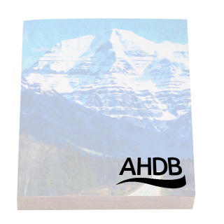 2x3 Inch Sticky Notepads-25 Sheets