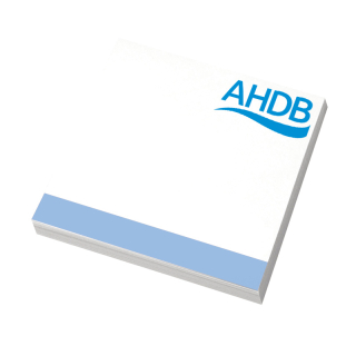 4x4 Inch Sticky Notepads-100 Sheets