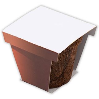 Coco Planter Kits