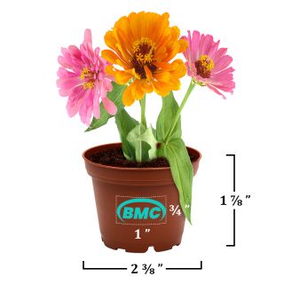 Printed Terra Cotta Lil Planter Kits