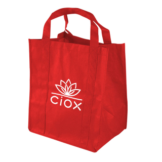 Printed Recyclable Big Grocery Tote Bags