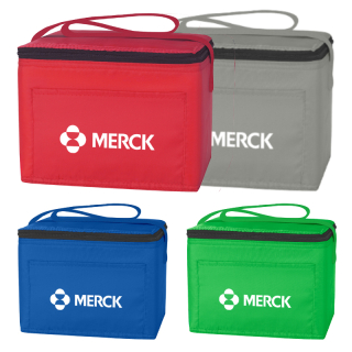 Non-Woven Cooler Bags with RPET Material