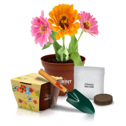 promotional Gardening