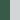 Forest Green/White