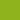 Light Citron Green