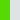 Lime/Clear