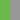 Lime Green/Stainless Steel