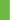 Lime/White