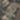 Smoke Camo