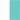 White/Mint Green