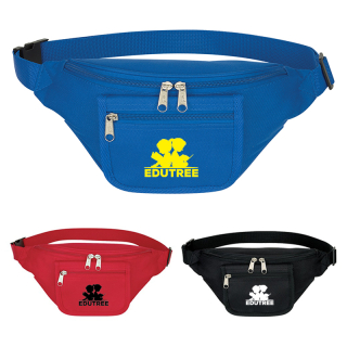 Fanny Packs with Organizers