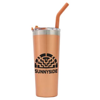 22 Oz Stainless Steel Double Wall Tumblers with Straws