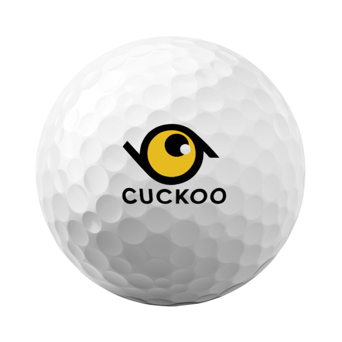 Customized Titleist Pro V1x Golf Balls Half Dozen Std Serv
