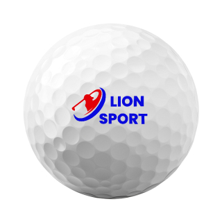 Titleist Pro V1 Golf Balls Half Dozen Std Serv