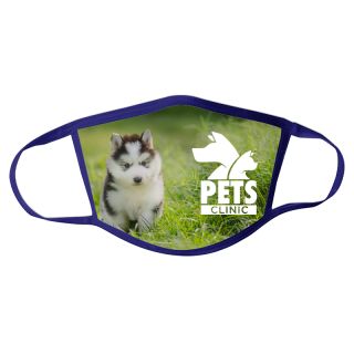ized 3-Ply Polyester Face Masks