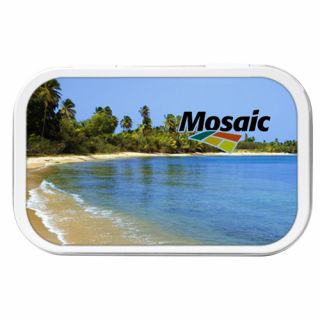 Beach Necessities Kit - Tin