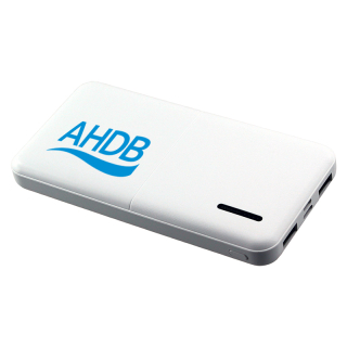 10000 mAh Capsule Power Banks