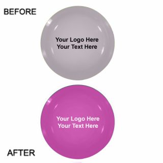 9 Inch Logo Sun Fun Value Flyers