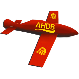 Logo Glider Penny Paper Airplanes