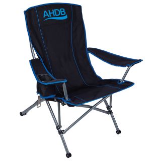 Printed Everest Oversized Chairs