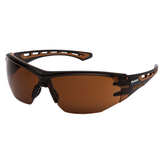 Carhartt Easley Safety Glasses