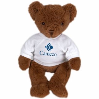 Printed Nutmeg Bear
