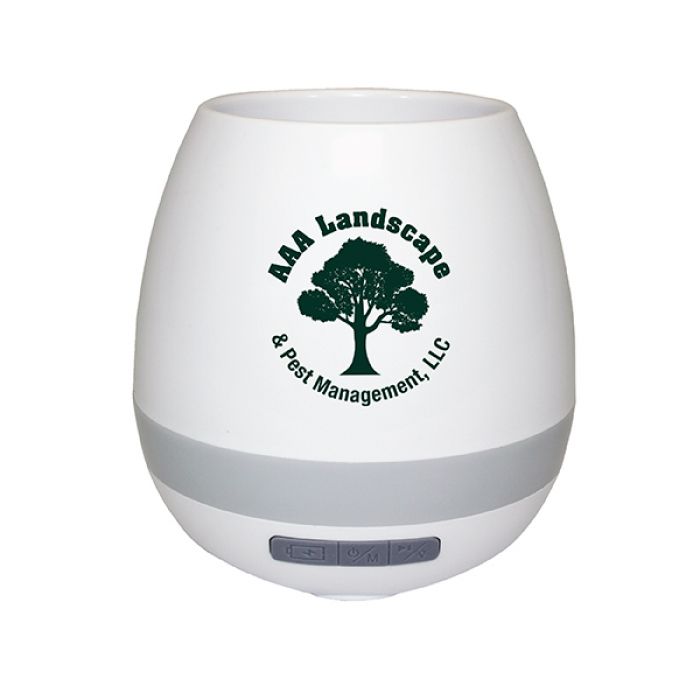 Customized Musical Planter and Wireless Speakers