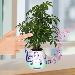ized Musical Planter and Wireless Speakers