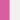 Fuchsia with White