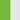 Lime Green/Clear