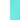 White with Transparent Teal