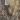 Realtree Xtra/Khaki