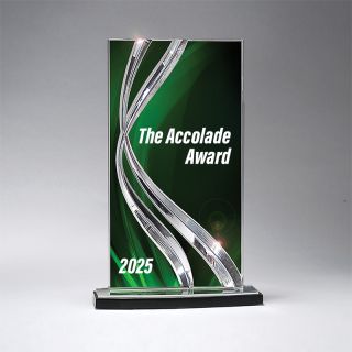 Large Awards