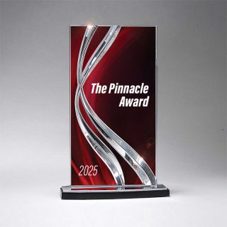 Large Ribbon Awards