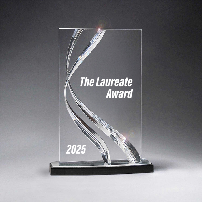 Custom Medium Clear Awards