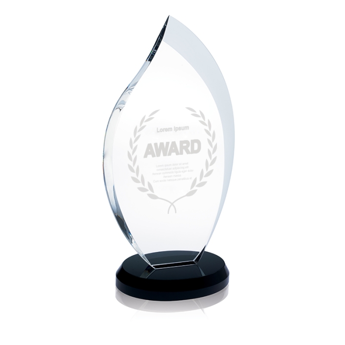 Custom Printed Innovation Awards-Medium