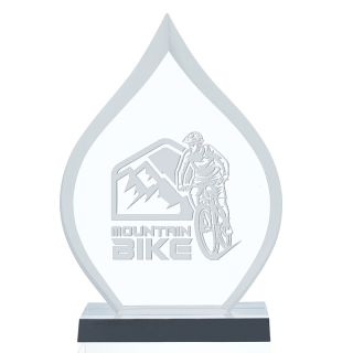 Printed Inspire Awards