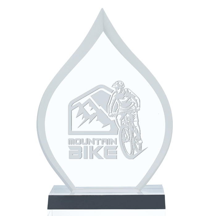 Custom Printed Inspire Awards