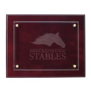 8x10 Inch Floating Glass Plaque Awards