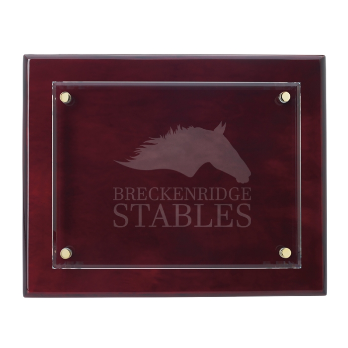 Personalized 8x10 Inch Floating Glass Plaque Awards