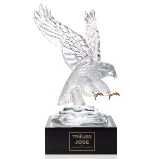 Eagle Awards with 4 Inch Lighted Pedestals